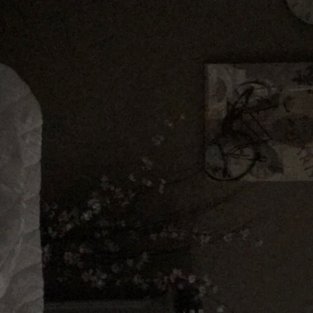 Meet your Posher, Tom